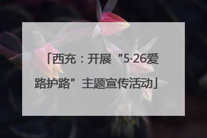 西充：开展“5·26爱路护路”主题宣传活动