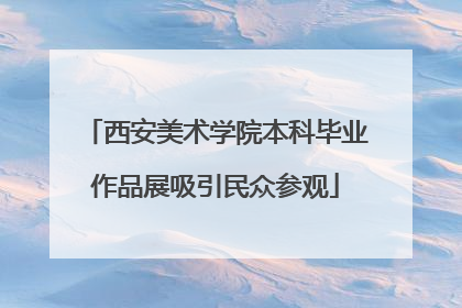 西安美术学院本科毕业作品展吸引民众参观