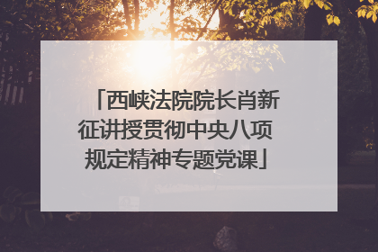 西峡法院院长肖新征讲授贯彻中央八项规定精神专题党课