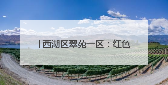 西湖区翠苑一区：红色引领多元共治，构建城市里的“熟人社会”