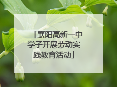 襄阳高新一中学子开展劳动实践教育活动