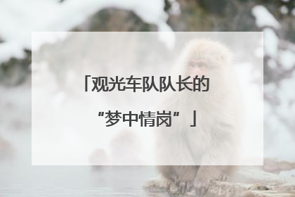 观光车队队长的“梦中情岗”