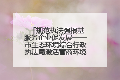 规范执法强根基 服务企业促发展——市生态环境综合行政执法局激活营商环境“绿色动能”