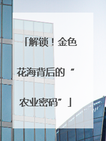 解锁！金色花海背后的“农业密码”