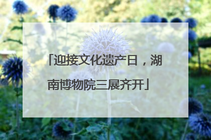 迎接文化遗产日，湖南博物院三展齐开