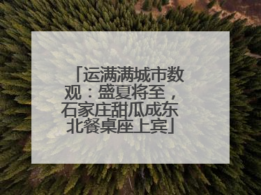 运满满城市数观：盛夏将至，石家庄甜瓜成东北餐桌座上宾
