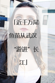 近千万尾鱼苗从武汉“游进”长江