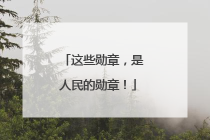 这些勋章，是人民的勋章！
