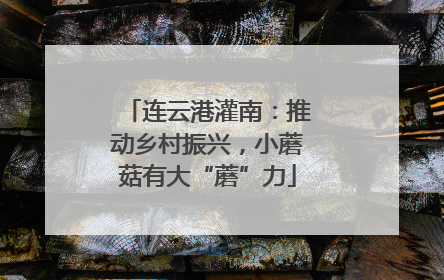 连云港灌南：推动乡村振兴，小蘑菇有大“蘑”力