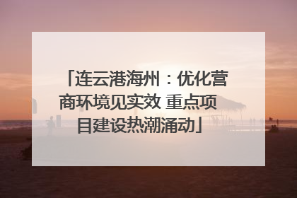 连云港海州：优化营商环境见实效 重点项目建设热潮涌动