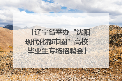 辽宁省举办“沈阳现代化都市圈”高校毕业生专场招聘会