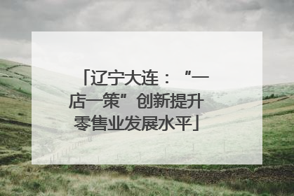 辽宁大连：“一店一策”创新提升零售业发展水平