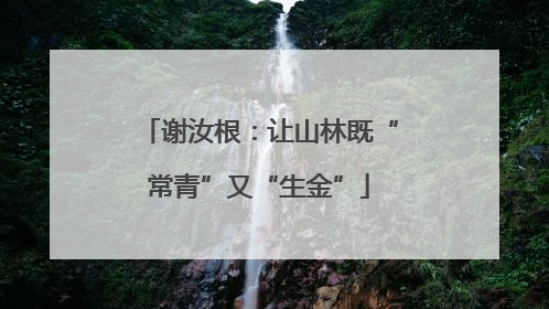 谢汝根：让山林既“常青”又“生金”