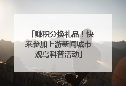 赚积分换礼品！快来参加上游新闻城市观鸟科普活动