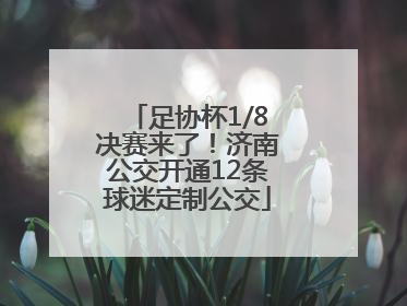 足协杯1/8决赛来了！济南公交开通12条球迷定制公交