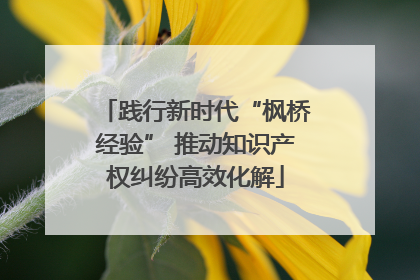 践行新时代“枫桥经验” 推动知识产权纠纷高效化解