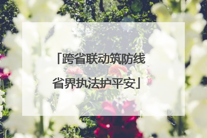 跨省联动筑防线 省界执法护平安