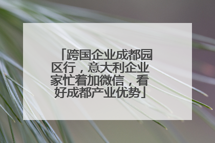 跨国企业成都园区行，意大利企业家忙着加微信，看好成都产业优势