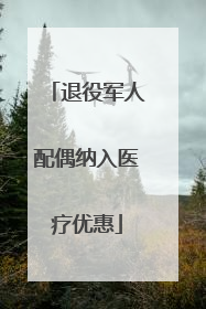 退役军人配偶纳入医疗优惠