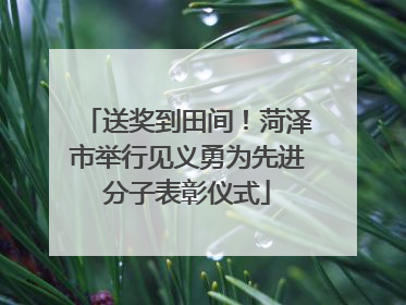 送奖到田间！菏泽市举行见义勇为先进分子表彰仪式