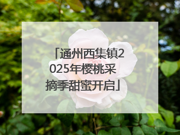 通州西集镇2025年樱桃采摘季甜蜜开启