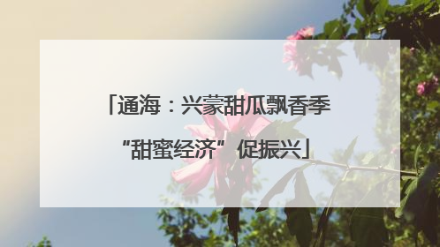 通海：兴蒙甜瓜飘香季 “甜蜜经济”促振兴