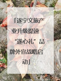 遂宁文旅产业升级提速 “遂心礼”品牌外宣战略启动