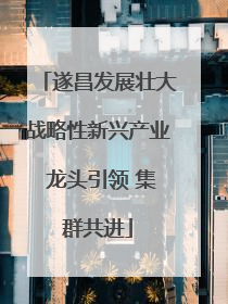 遂昌发展壮大战略性新兴产业 龙头引领 集群共进