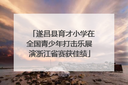 遂昌县育才小学在全国青少年打击乐展演浙江省赛获佳绩