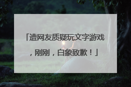遭网友质疑玩文字游戏，刚刚，白象致歉！