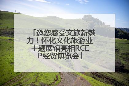 邀您感受文旅新魅力！怀化文化旅游业主题展馆亮相RCEP经贸博览会