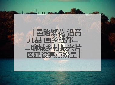 邑路繁花 沿黄九品 画乡鲤都……聊城乡村振兴片区建设亮点纷呈