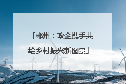 郴州：政企携手共绘乡村振兴新图景