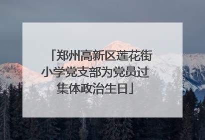 郑州高新区莲花街小学党支部为党员过集体政治生日