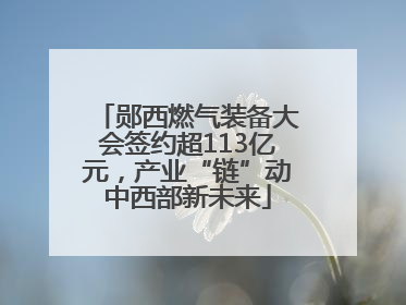 郧西燃气装备大会签约超113亿元，产业“链”动中西部新未来
