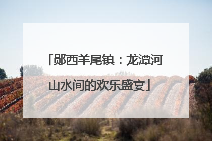 郧西羊尾镇：龙潭河山水间的欢乐盛宴
