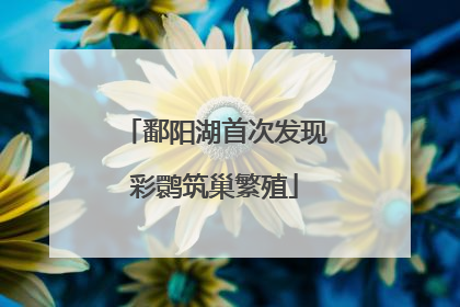 鄱阳湖首次发现彩鹮筑巢繁殖