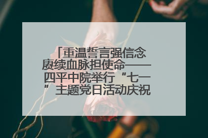 重温誓言强信念 赓续血脉担使命——四平中院举行“七一”主题党日活动庆祝建党104周年