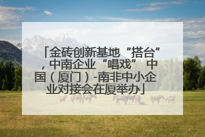 金砖创新基地“搭台”，中南企业“唱戏” 中国（厦门）-南非中小企业对接会在厦举办
