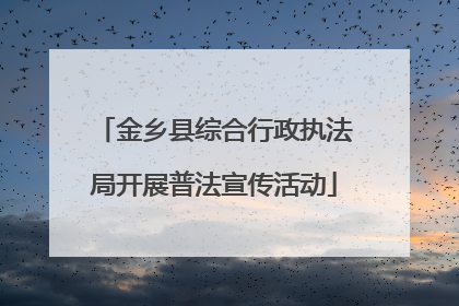 金乡县综合行政执法局开展普法宣传活动