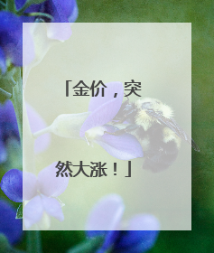 金价，突然大涨！