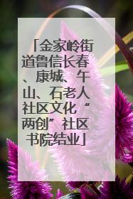 金家岭街道鲁信长春、康城、午山、石老人社区文化“两创”社区书院结业