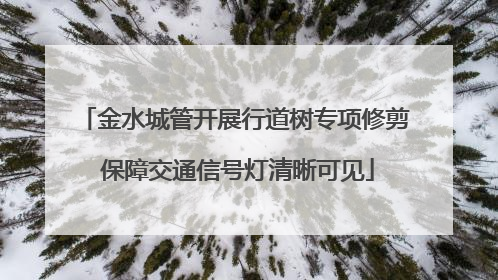 金水城管开展行道树专项修剪 保障交通信号灯清晰可见