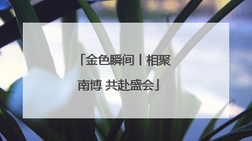 金色瞬间丨相聚南博 共赴盛会