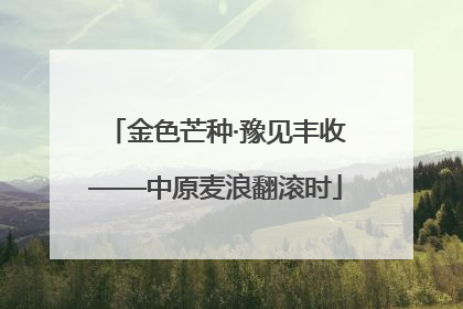 金色芒种·豫见丰收——中原麦浪翻滚时