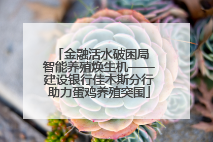 金融活水破困局 智能养殖焕生机——建设银行佳木斯分行助力蛋鸡养殖突围