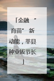 金融 “育苗” 新动能，莘县种业拔节长