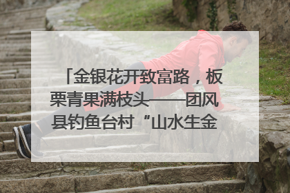 金银花开致富路，板栗青果满枝头——团风县钓鱼台村“山水生金”谱写共富新篇章