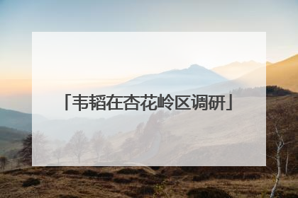 韦韬在杏花岭区调研
