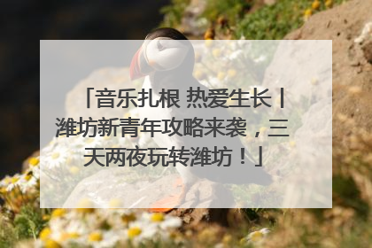 音乐扎根 热爱生长丨潍坊新青年攻略来袭，三天两夜玩转潍坊！